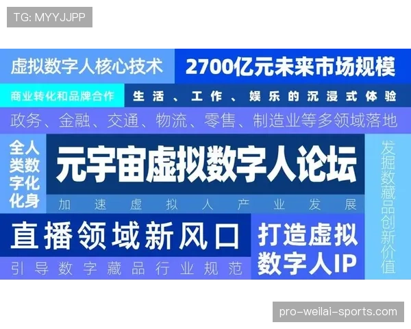 如何准确判定挑战判罚规则的关键要素与应用场景