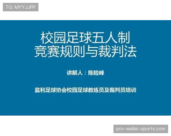 足球判罚标准详解：关键判定条件与裁判执行规则解析
