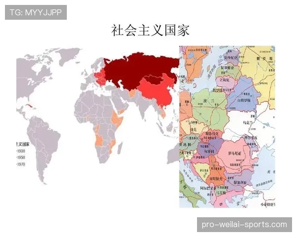 托蒂与德罗巴在意甲的射门区域分布演变对比