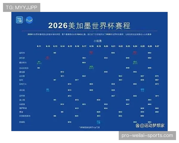 2026世界杯完整版排名决定解析